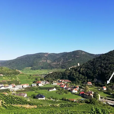 Apartment Setzbergblick *